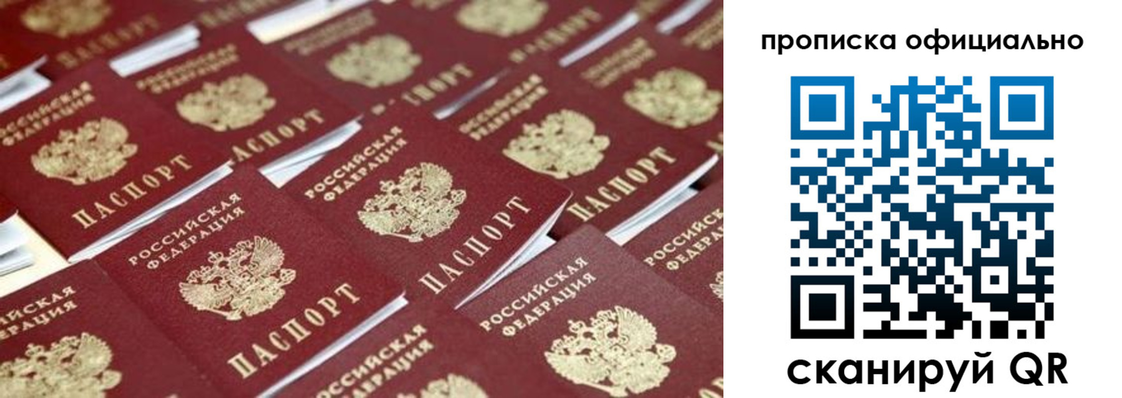 прописка гарантия в Щиграх